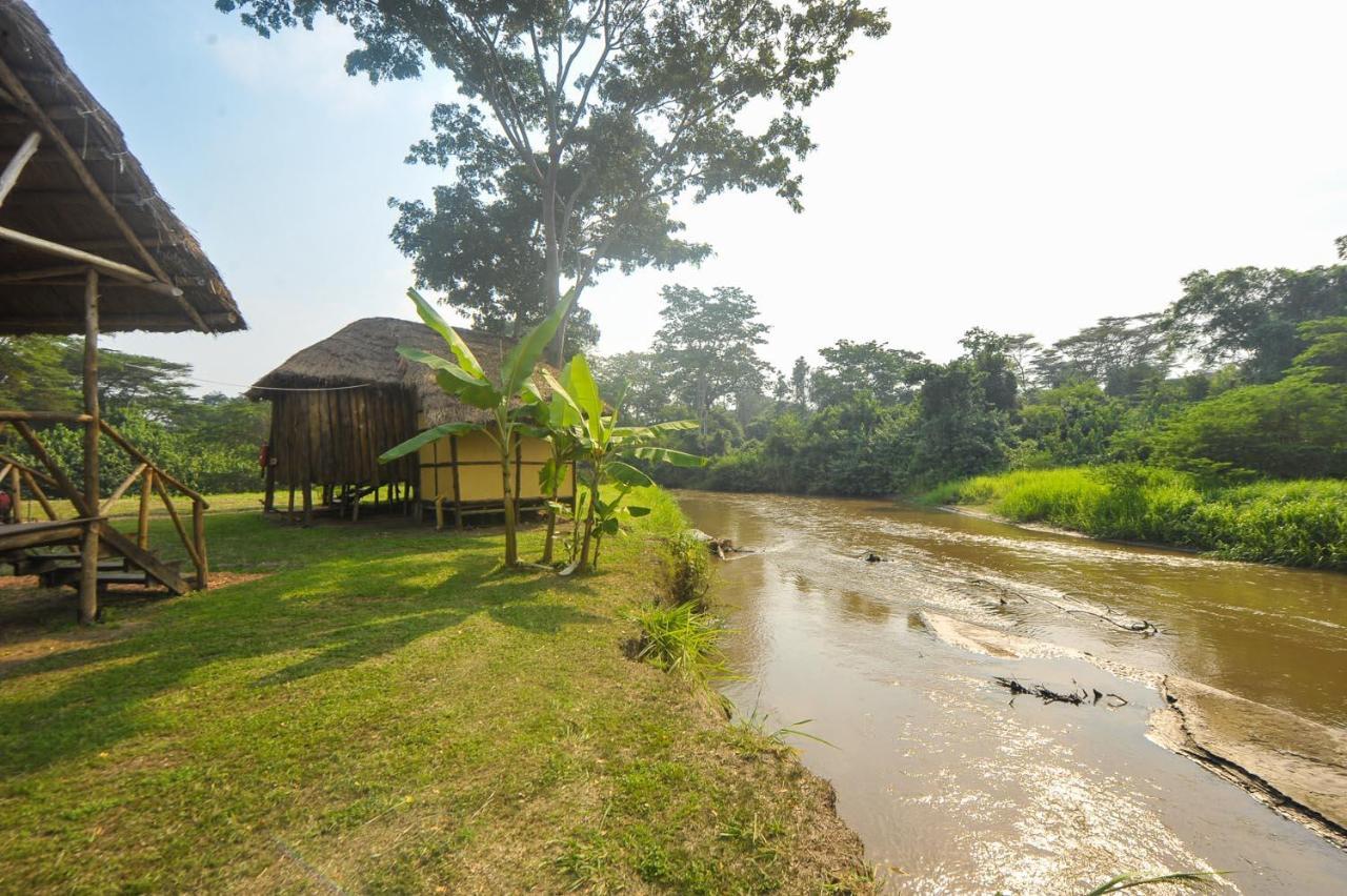 Bullbush River Camp Kihihi Zewnętrze zdjęcie