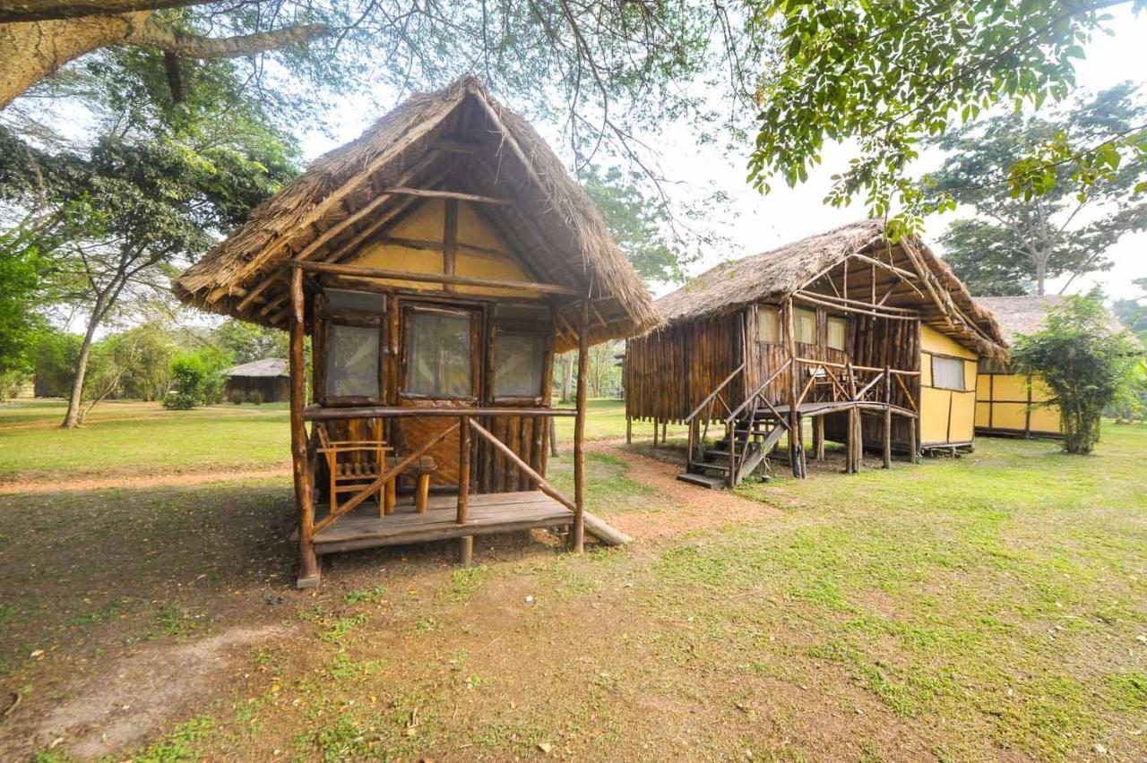 Bullbush River Camp Kihihi Zewnętrze zdjęcie